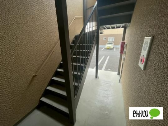 �y�����O�ρz�@���r�[