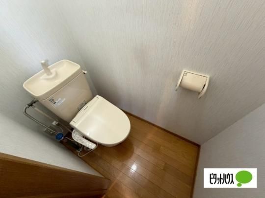�y���̑��z�@�g�C��