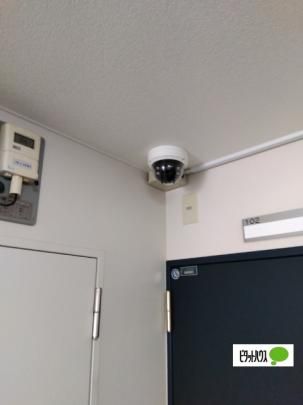 �y�����O�ρz�@���̑�
