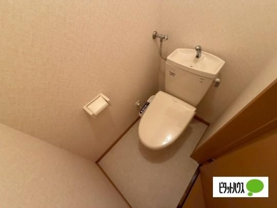 �y���̑��z�@�g�C��