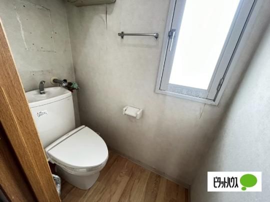 �y���̑��z�@�g�C��