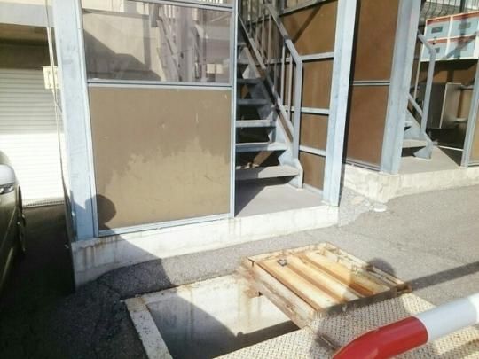 �y�����O�ρz�@�G���g�����X