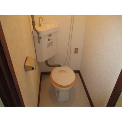 �y���̑��z�@�g�C��