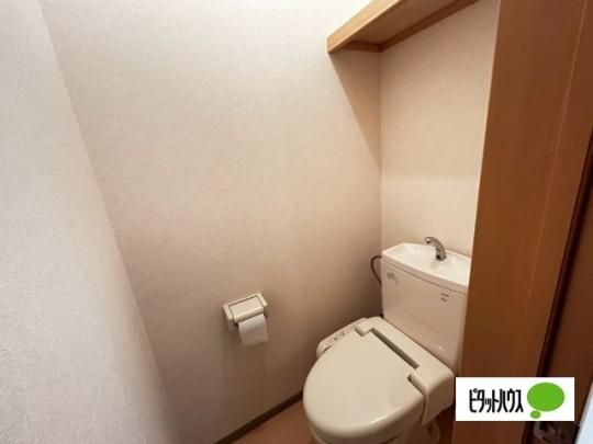 �y���̑��z�@�g�C��