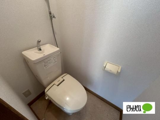 �y���̑��z�@�g�C��