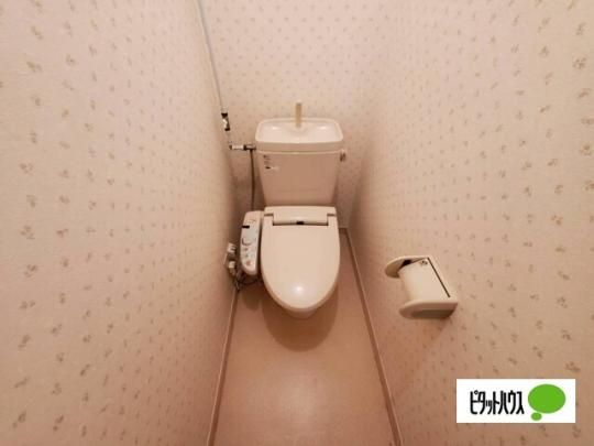 �y���̑��z�@�g�C��