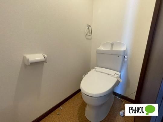 �y���̑��z�@�g�C��