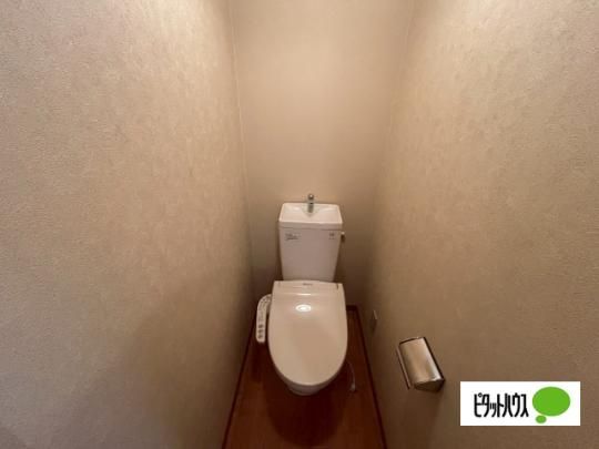 �y���̑��z�@�g�C��