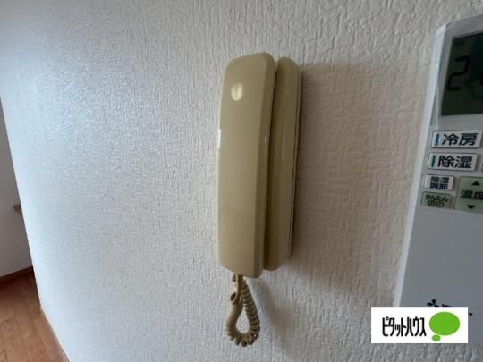 �y���̑��z�@�Z�L�����e�B