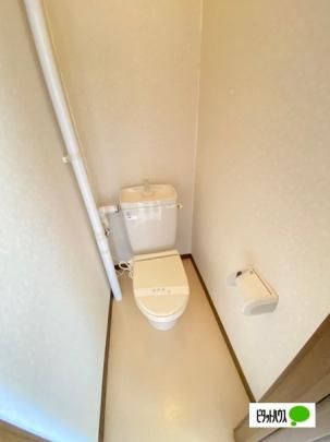 �y���̑��z�@�g�C��