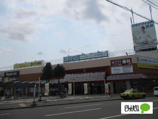 �y���Ӂz�@�R�[�v�����ۂ�A���[���X�F686m