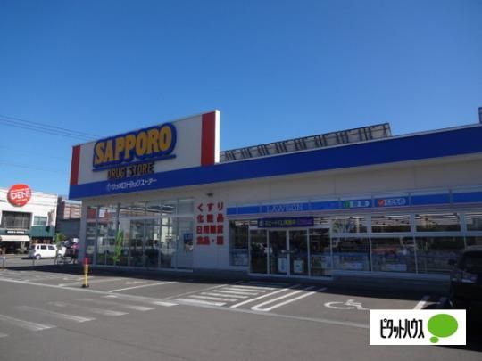 �y���Ӂz�@�T�b�|���h���b�O�X�g�A�[����L���F808m