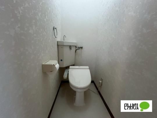 �y���̑��z�@�g�C��