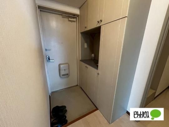 �y���̑��z�@����