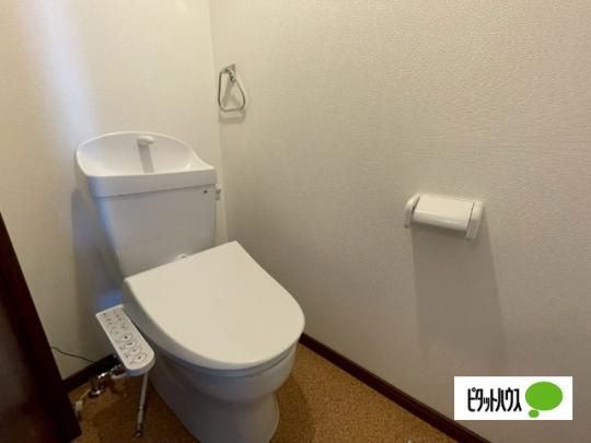 �y���̑��z�@�g�C��