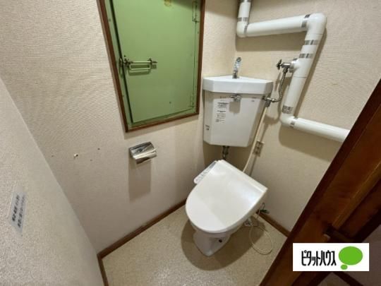 �y���̑��z�@�g�C��
