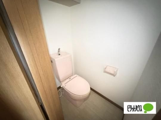 �y���̑��z�@�g�C��
