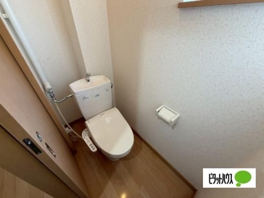�y���̑��z�@�g�C��