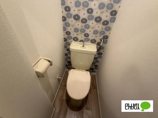 �y���̑��z�@�g�C��