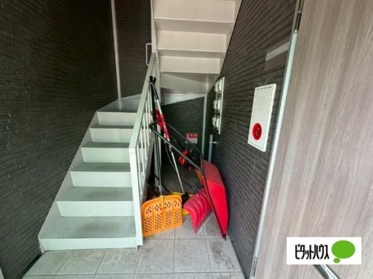 �y�����O�ρz�@���r�[