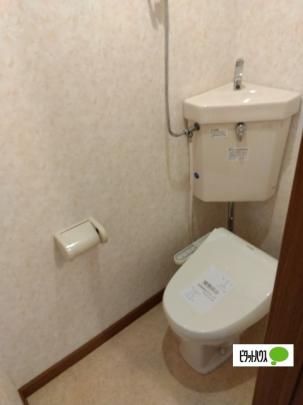 �y���̑��z�@�g�C��