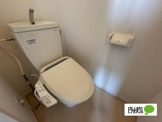 �y���̑��z�@�g�C��