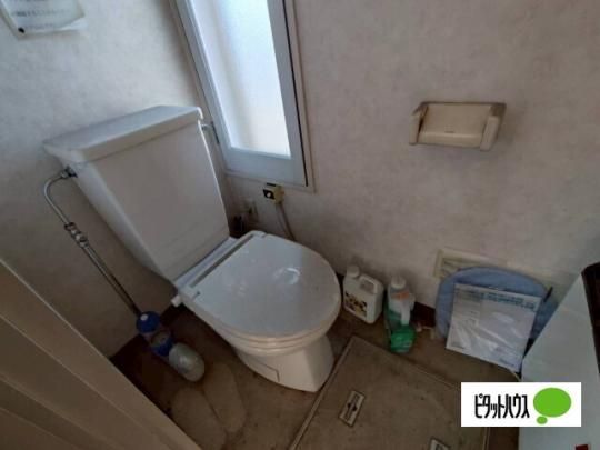 �y���̑��z�@�g�C��