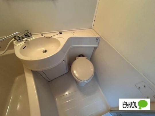 �y���̑��z�@�g�C��