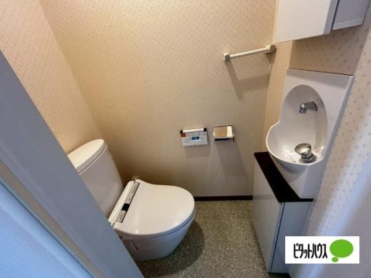 �y���̑��z�@�g�C��