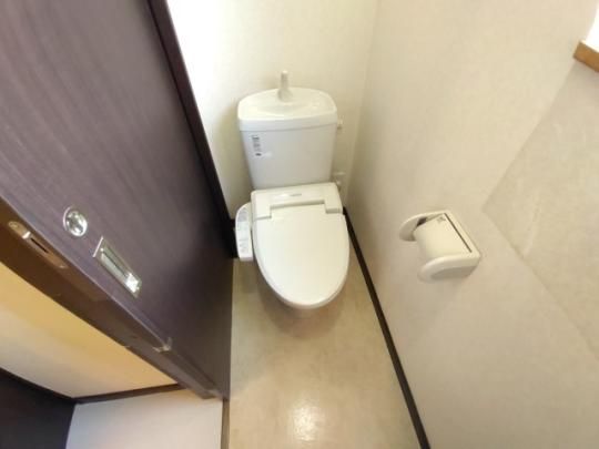 �y���̑��z�@�g�C��