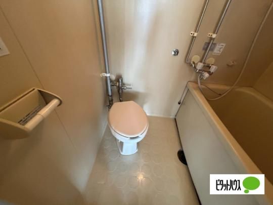 �y���̑��z�@�g�C��