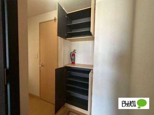 �y���̑��z�@���[