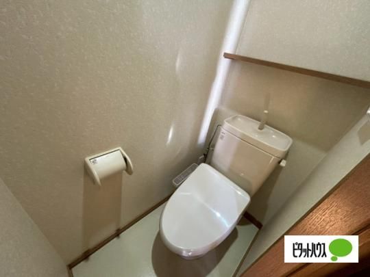 �y���̑��z�@�g�C��
