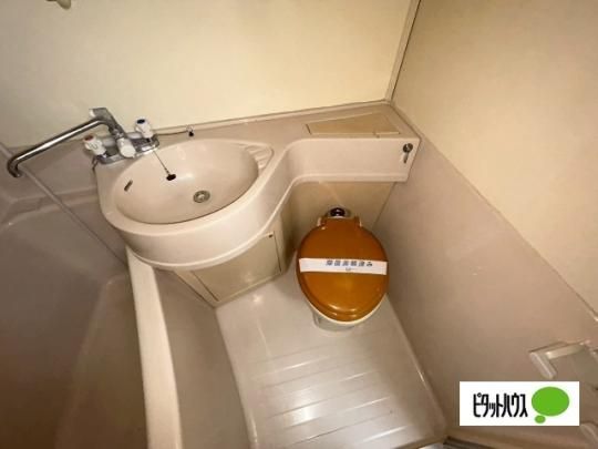�y���̑��z�@�g�C��