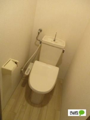 �y���̑��z�@�g�C��