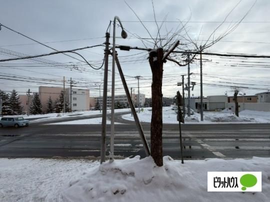 �y���̑��z�@���]