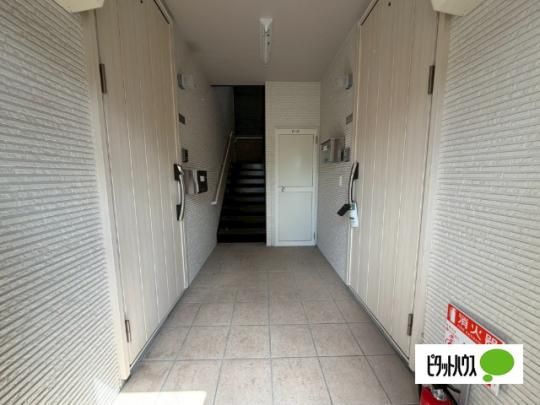 �y�����O�ρz�@���r�[