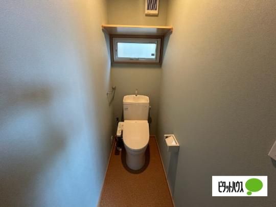 �y���̑��z�@�g�C��