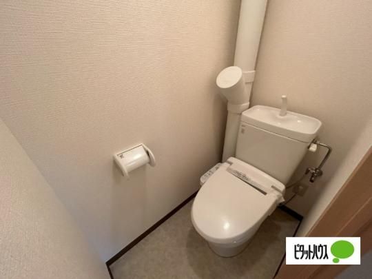 �y���̑��z�@�g�C��