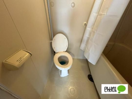 �y���̑��z�@�g�C��