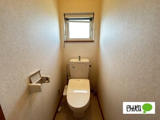 �y���̑��z�@�g�C��