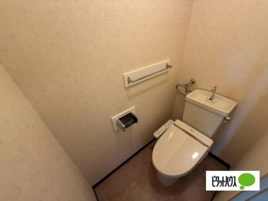 �y���̑��z�@�g�C��