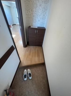 �y���̑��z�@����