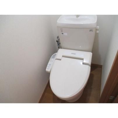 �y���̑��z�@�g�C��