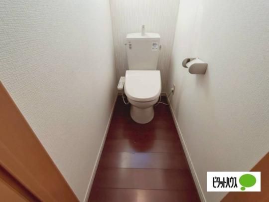 �y���̑��z�@�g�C��