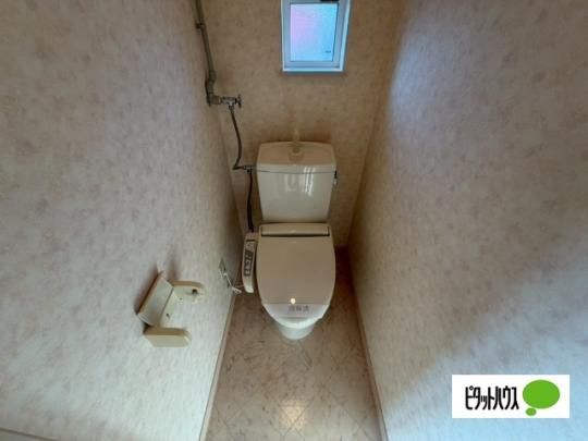 �y���̑��z�@�g�C��