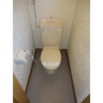 �y���̑��z�@�g�C��
