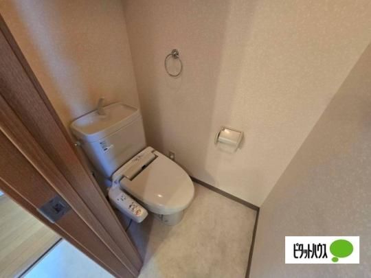 �y���̑��z�@�g�C��
