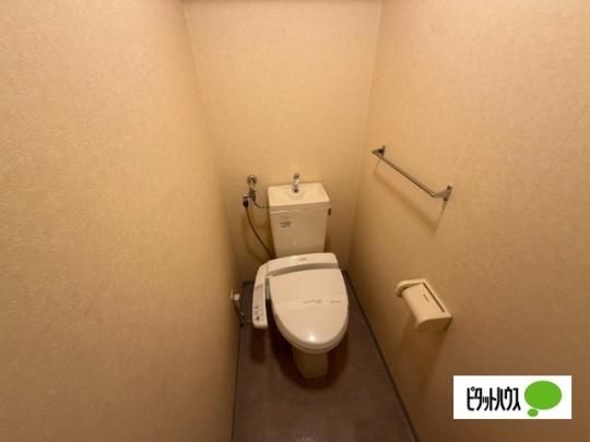 �y���̑��z�@�g�C��