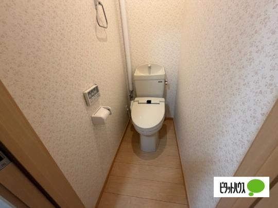 �y���̑��z�@�g�C��